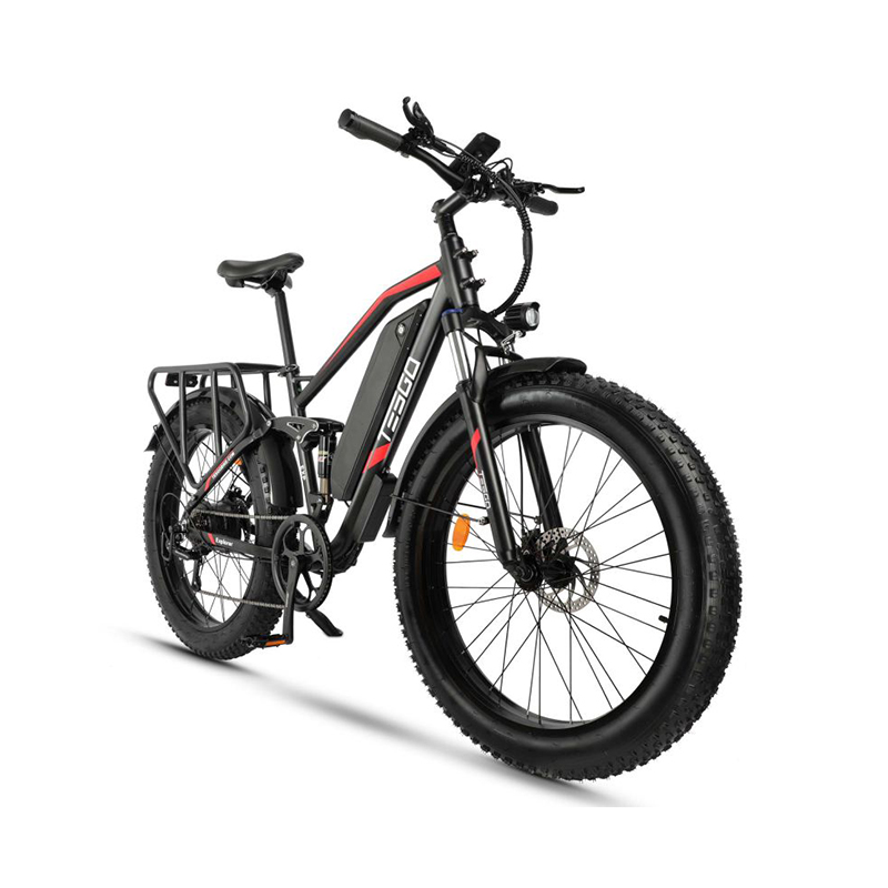 48V17.5Ah 750W Disc Brick E-Bike Explorer