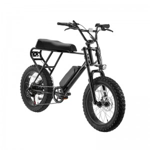 36V 250W Disc Brick E-Bike M20X