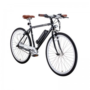 36V 250W Disc Brick E-Bike HE-2-NV